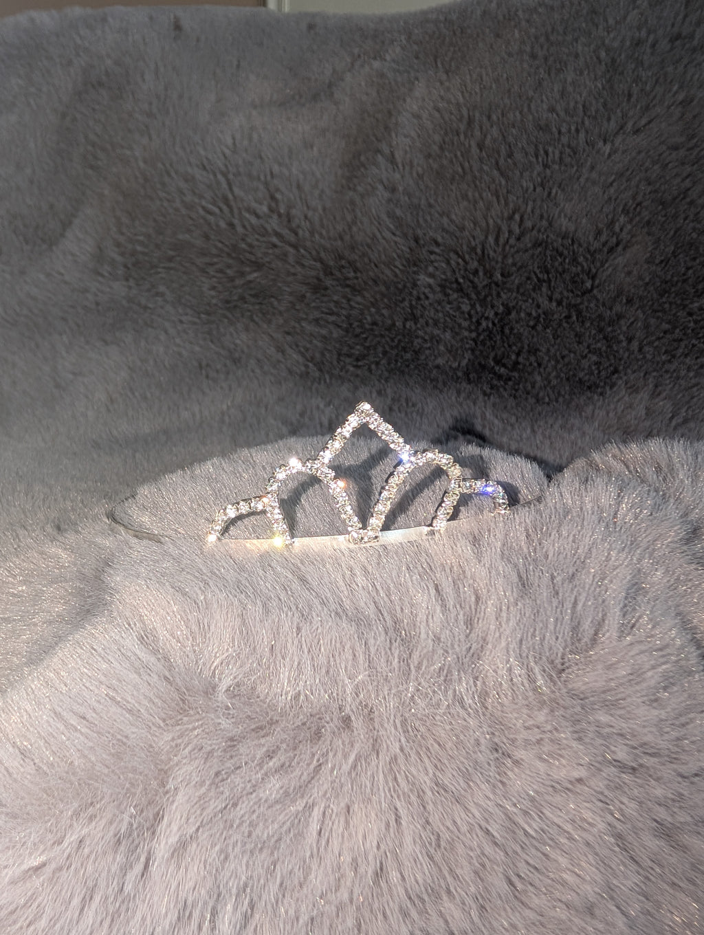 Silver tiara